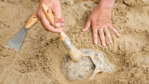EXPLAINER: What is radiometric dating? - COSMOS Education